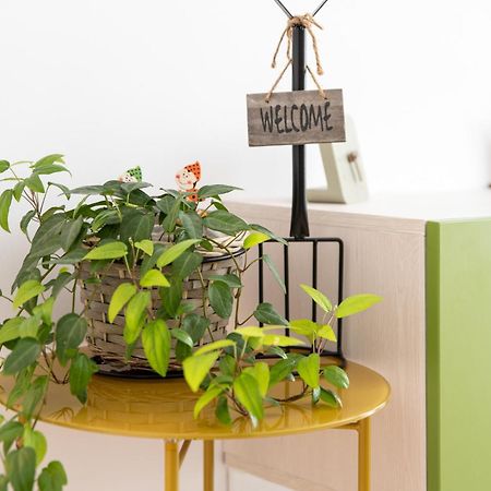 Springhome - Cozy Apartment With Balcony & Parking Брашов Экстерьер фото