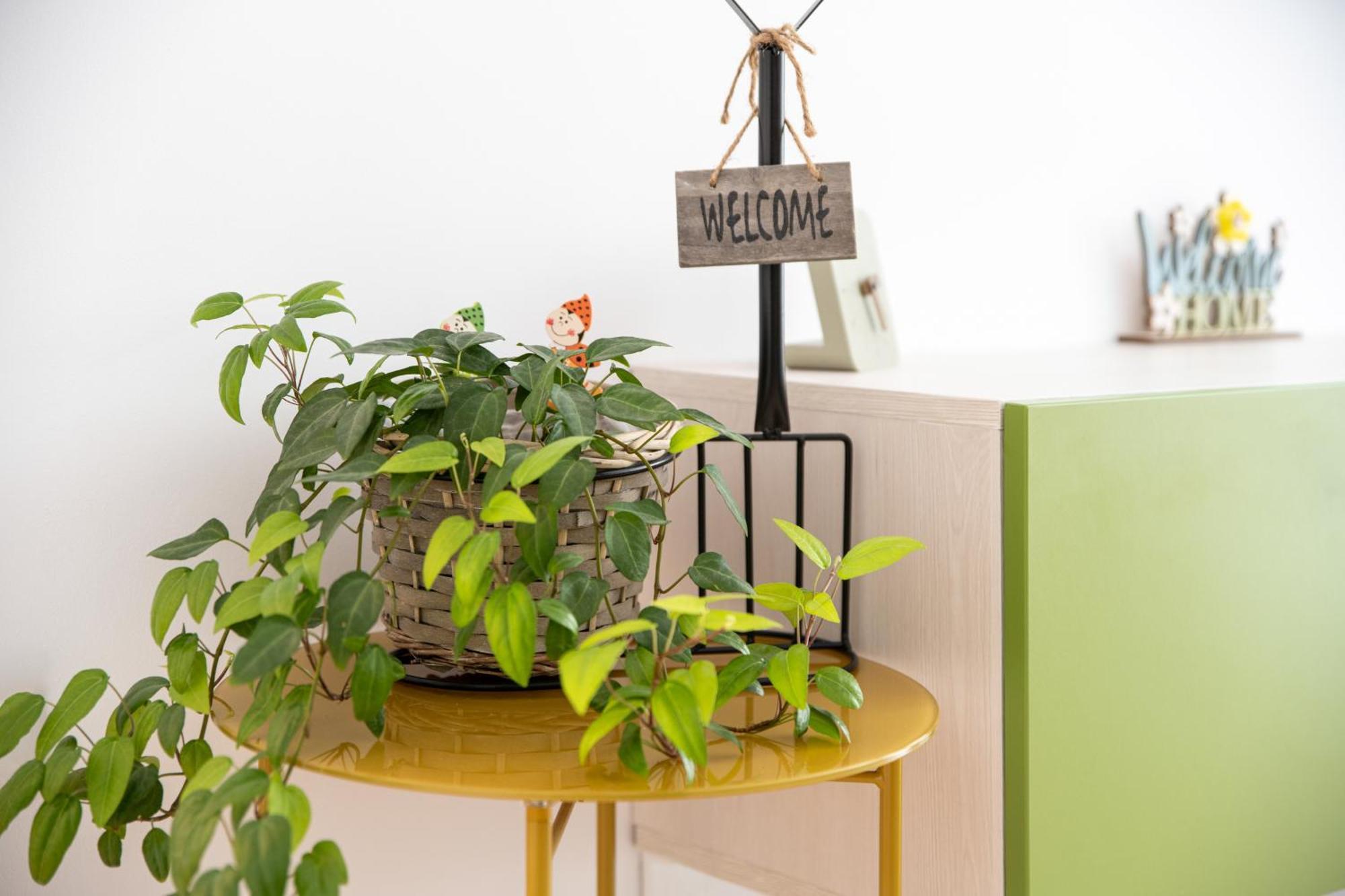 Springhome - Cozy Apartment With Balcony & Parking Брашов Экстерьер фото