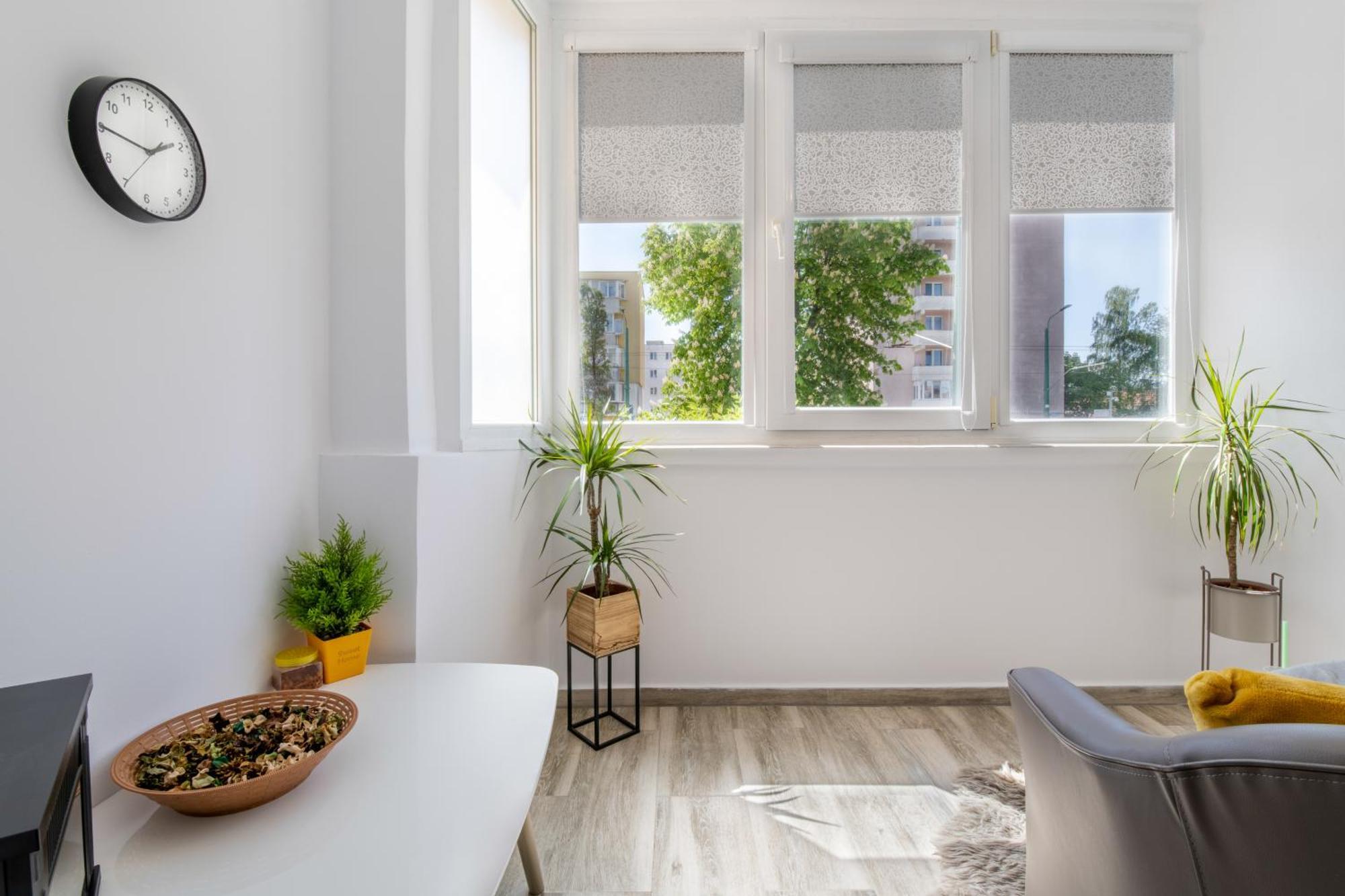 Springhome - Cozy Apartment With Balcony & Parking Брашов Экстерьер фото